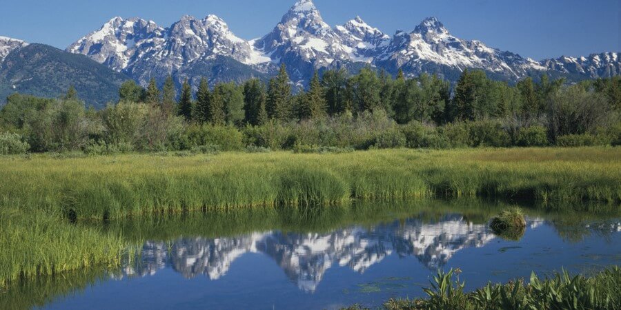 USA, Wyoming, Grand Teton National Park, reflections in Beaver Pond