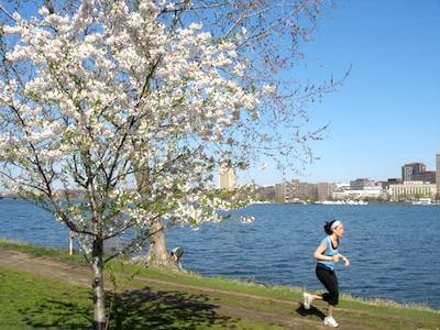 running-the-charles-river-loop-water-fountain-locations-21219953