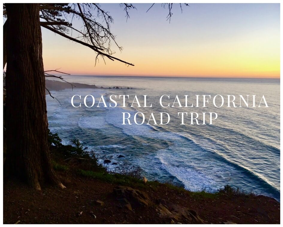 coastal california road trip.jpg