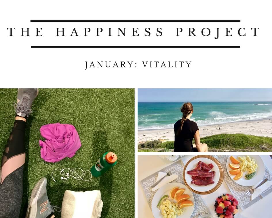 THE HAPPINESS PROJECT.jpg